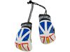 NEWFOUNDLAND & LABRADOR COUNTRY FLAG MINI BOXING GLOVES ..HIGH QUALITY .. NEW