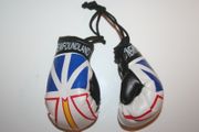 NEWFOUNDLAND PROVINCIAL FLAG PAIR OF MINIATURE BOXING GLOVES ... NEW