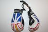 NEWFOUNDLAND PROVINCIAL FLAG PAIR OF MINIATURE BOXING GLOVES ... NEW