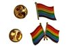 2 LGBTQ Waving Pride Flag & Pride Flags - SET Metal LAPEL PIN BADGE METAL LAPEL PIN BADGES