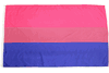 LGBTQ BI PRIDE 3' x 5' Feet FLAG BANNER