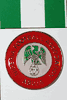 NIGERIA FOOTBALL ASSOCIATION FIFA WORLD CUP LOGO PIN .. SOCCER .. NEW