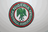 NIGERIA FOOTBALL ASSOCIATION  FIFA WORLD CUP SOCCER PATCH CREST BADGE .. NEW