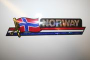 NORWAY COUNTRY FLAG LONG METALIC CAR AUTOMOBILE BUMPER STICKER DECAL EMBLEM ... NEW