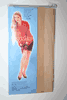NUDE SHEER THIGH HIGH PANTYHOSE STOCKINGS BY SOPHIA .. 90-165 LBS ... NEW IN PACKAGE