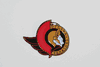 OTTAWA SENATORS NHL HOCKEY METAL LOGO PIN .. NEW