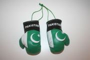 PAIR OF PAKISTAN COUNTRY FLAG MINI BOXING GLOVES  ... TO HANG OVER YOUR CAR MIRROR .. NEW