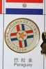 PARAGUAY ASOCIACION PARAGUAYA DE FUTBOL FIFA WORLD CUP LOGO PIN .. SOCCER FOOTBALL .. NEW