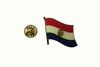 PARAGUAY COUNTRY FLAG SMALL METAL LAPEL PIN BADGE .. NEW