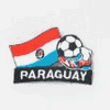 PARAGUAY SOCCER BALL FOOTBALL IRON ON EMBROIDERED PATCH CREST BADGE .. NEW