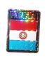 PARAGUAY SQUARE COUNTRY FLAG METALLIC BUMPER STICKER DECAL .. SIZE 3" X 4" INCHES .. NEW
