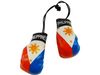 PHILIPPINES COUNTRY FLAG MINI BOXING GLOVES ..HIGH QUALITY .. NEW