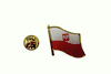 POLAND WITH EAGLE COUNTRY FLAG SMALL METAL PIN LAPEL BADGE .. POLSKA ..  NEW