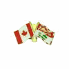 PRINCE EDWARD ISLAND PEI / CANADA PROVINCIAL FLAG SMALL METAL FRIENDSHIP LAPEL PIN BADGE .. CANADIAN PROVINCE .. NEW