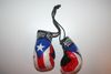 PUERTO RICO COUNTRY FLAG PAIR OF MINIATURE BOXING GLOVE FOR CAR .. NEW