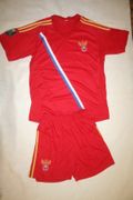 RUSSIA EURO CUP 2012 ADULT SOCCER FOOTBALL RETRO JERSEY ... NEW