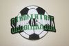 SAUDI-ARABIA SOCCER BALL FOOTBALL IRON ON PATCH CREST BADGE .. NEW