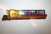 SCOTLAND LION RAMPANT COUNTRY FLAG LONG METALIC CAR AUTOMOBILE BUMPER STICKER DECAL EMBLEM ..NEW
