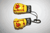 SCOTLAND LION RAMPANT COUNTRY FLAG PAIR OF MINIATURE BOXING GLOVES ...NEW
