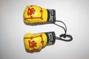 SCOTLAND LION RAMPANT COUNTRY FLAG PAIR OF MINIATURE BOXING GLOVES ...NEW