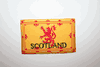 SCOTLAND LION RAMPANT LARGE COUNTRY FLAG IRON ON PATCH CREST BADGE .. NEW