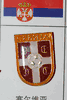 SERBIA FIFA WORLD CUP SOCCER FOOTBALL LOGO PIN .. NEW