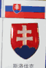 SLOVAKIA FIFA WORLD CUP SOCCER FOOTBALL LOGO PIN .. NEW