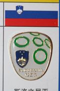 SLOVENIA FIFA WORLD CUP SOCCER FOOTBALL LOGO PIN  ... SLOVENIJA NZS .. NEW