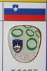 SLOVENIA FIFA WORLD CUP SOCCER FOOTBALL LOGO PIN  ... SLOVENIJA NZS .. NEW