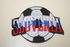 SLOVENIA SOCCER BALL FOOTBALL IRON ON PATCH CREST BADGE .. NEW