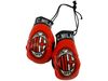 SOCCER TEAMS MINI BOXING GLOVERS