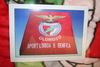 ***SOLD OUT ***BENFICA PORTUGAL ROYAL PLUSH THROW BLANKET BED SPEAD 78" X 94" NEW 