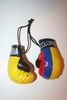 COLOMBIA COUNTRY FLAG MINI SET OF BOXING GLOVES ... NEW