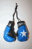 SOMALIA COUNTRY FLAG PAIR OF MINIATURE BOXING GLOVES FOR YOUR CAR MIRROR .. NEW