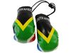 SOUTH AFRICA COUNTRY FLAG MINI BOXING GLOVES ..HIGH QUALITY .. NEW