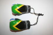 SOUTH AFRICA COUNTRY FLAG PAIR OF MINIATURE BOXING GLOVES ...NEW