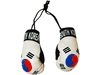 SOUTH KOREA COUNTRY FLAG MINI BOXING GLOVES ..HIGH QUALITY .. NEW