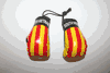 SOUTH VIETNAM COUNTRY FLAG PAIR OF MINIATURE BOXING GLOVES ...NEW