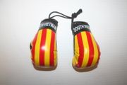 SOUTH VIETNAM COUNTRY FLAG PAIR OF MINIATURE BOXING GLOVES ...NEW