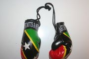 ST KITTS & NEVIS COUNTRY FLAG PAIR OF MINIATURE BOXING GLOVES .. NEW