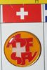 SWITZERLAND FIFA WORLD CUP SOCCER FOOTBALL LOGO PIN .. NEW