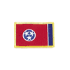 TENNESSEE USA STATE FLAG IRON ON PATCH CREST BADGE 2 1/8 X 3 1/4 INCHES ... NEW