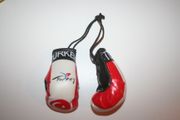 TURKEY COUNTRY FLAG PAIR OF MINIATURE BOXING GLOVES .. NEW