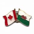 WALES / CANADA COUNTRY FLAG SMALL METAL FRIENDSHIP LAPEL PIN BADGE .. CYMRU .. NEW