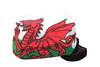 WALES COUNTRY FLAG CAR SIDE MIRROR COVERS , 2 IN A PACK