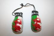 WALES COUNTRY FLAG PAIR OF MINIATURE BOXING GLOVES ...  NEW