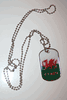 WALES CYMRU COUNTRY FLAG DOG TAG NECKLACE .. NEW