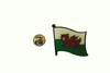 WALES CYMRU COUNTRY FLAG SMALL METAL LAPEL PIN BADGE .. NEW