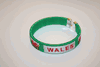 WALES GREEN COUNTRY FLAG FLEXIBLE BRACELET WRISTBAND .. NEW