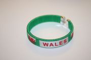 WALES GREEN COUNTRY FLAG FLEXIBLE BRACELET WRISTBAND .. NEW